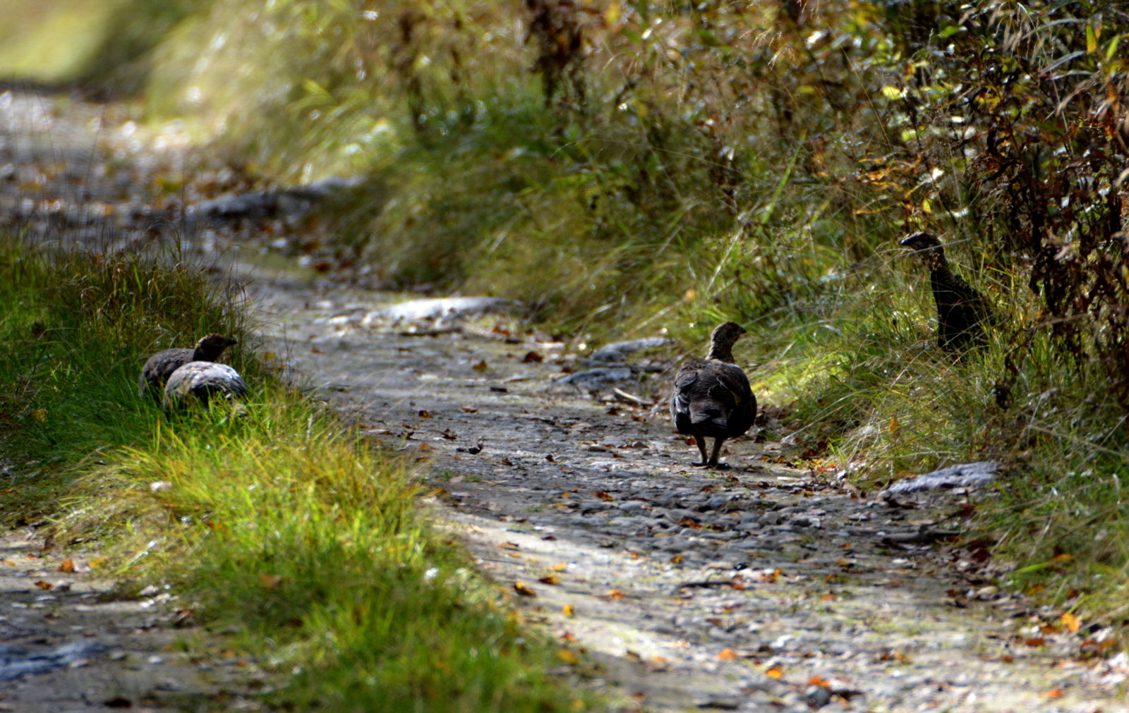 Valokuvaaja: MIKKO T.  SAVOLAINEN Valokuvaaja: MIKKO T.  SAVOLAINEN