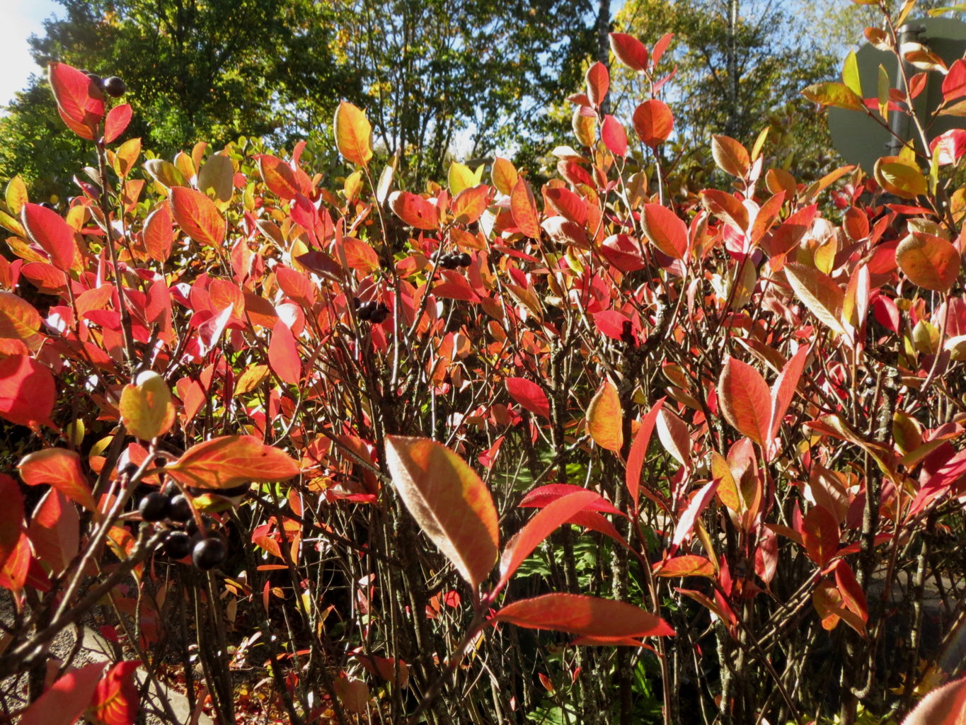 Valokuvaaja: MIKKO T.  SAVOLAINEN