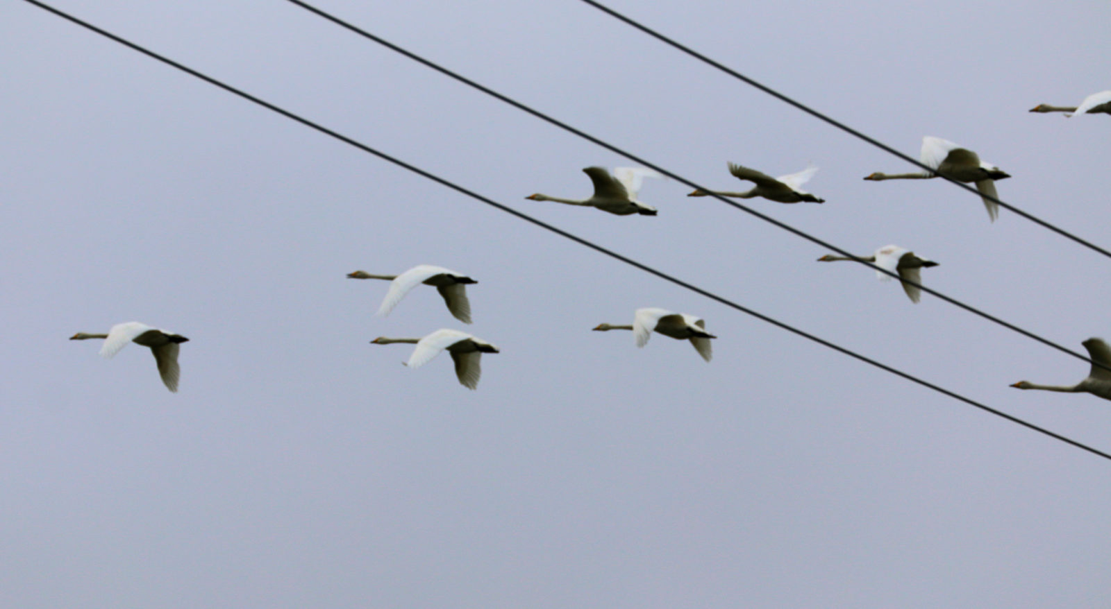 Valokuvaaja: Ahti Keränen