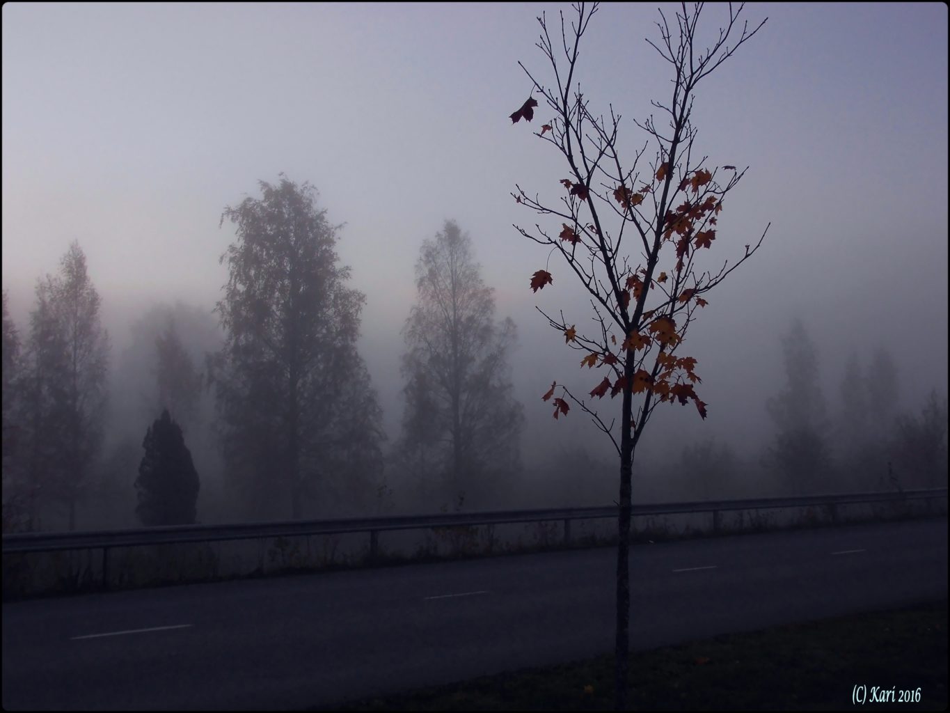 Valokuvaaja: Kari Saarinen