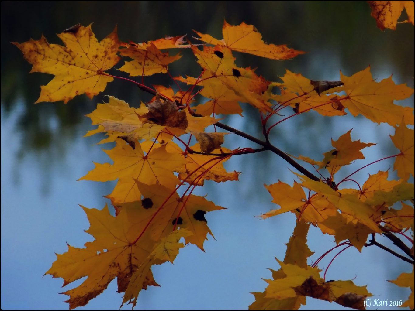 Valokuvaaja: Kari Saarinen