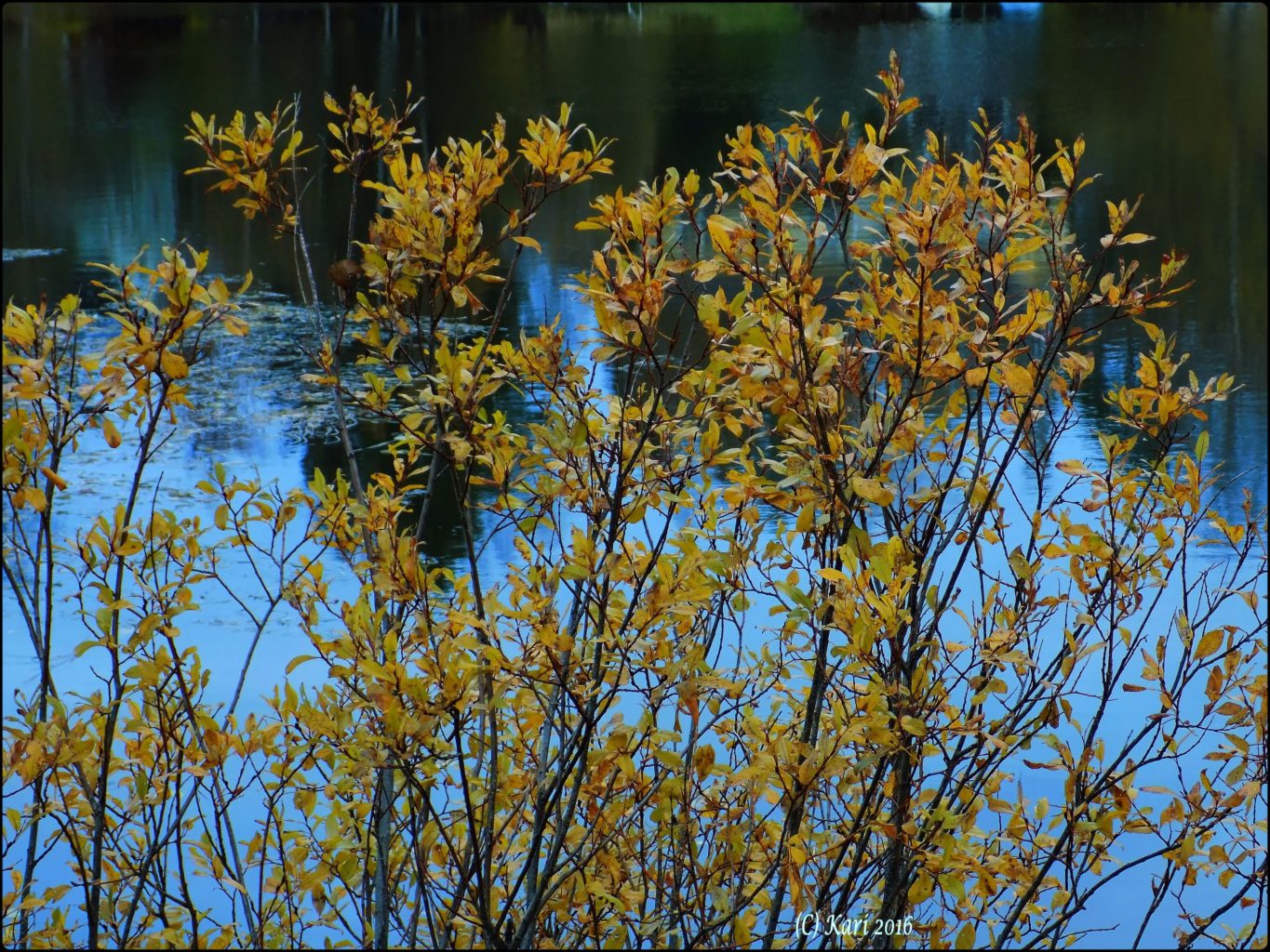 Valokuvaaja: Kari Saarinen