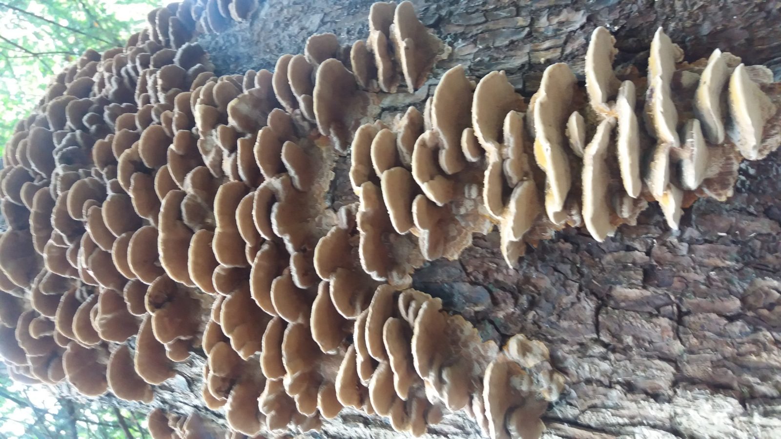 Valokuvaaja: Taru Mälkiä