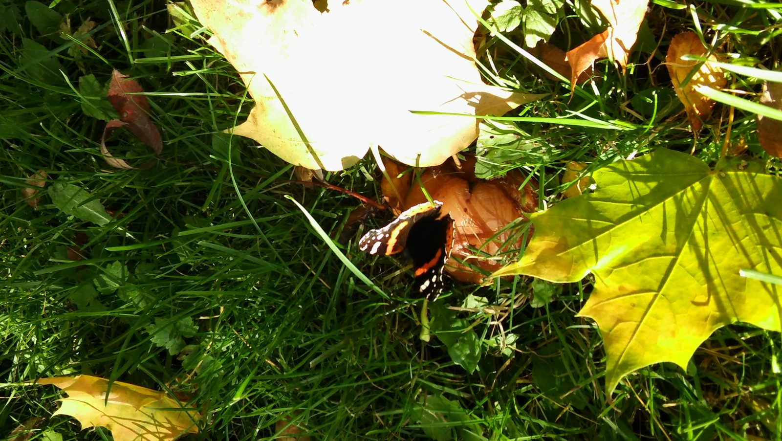 Valokuvaaja: Taina Hernesniemi