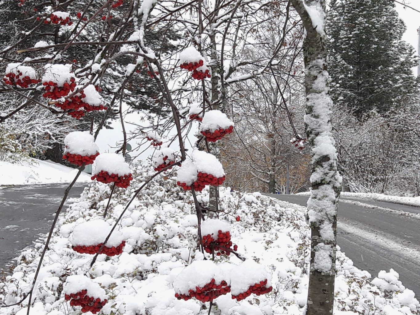 Valokuvaaja: Tuula Makkonen