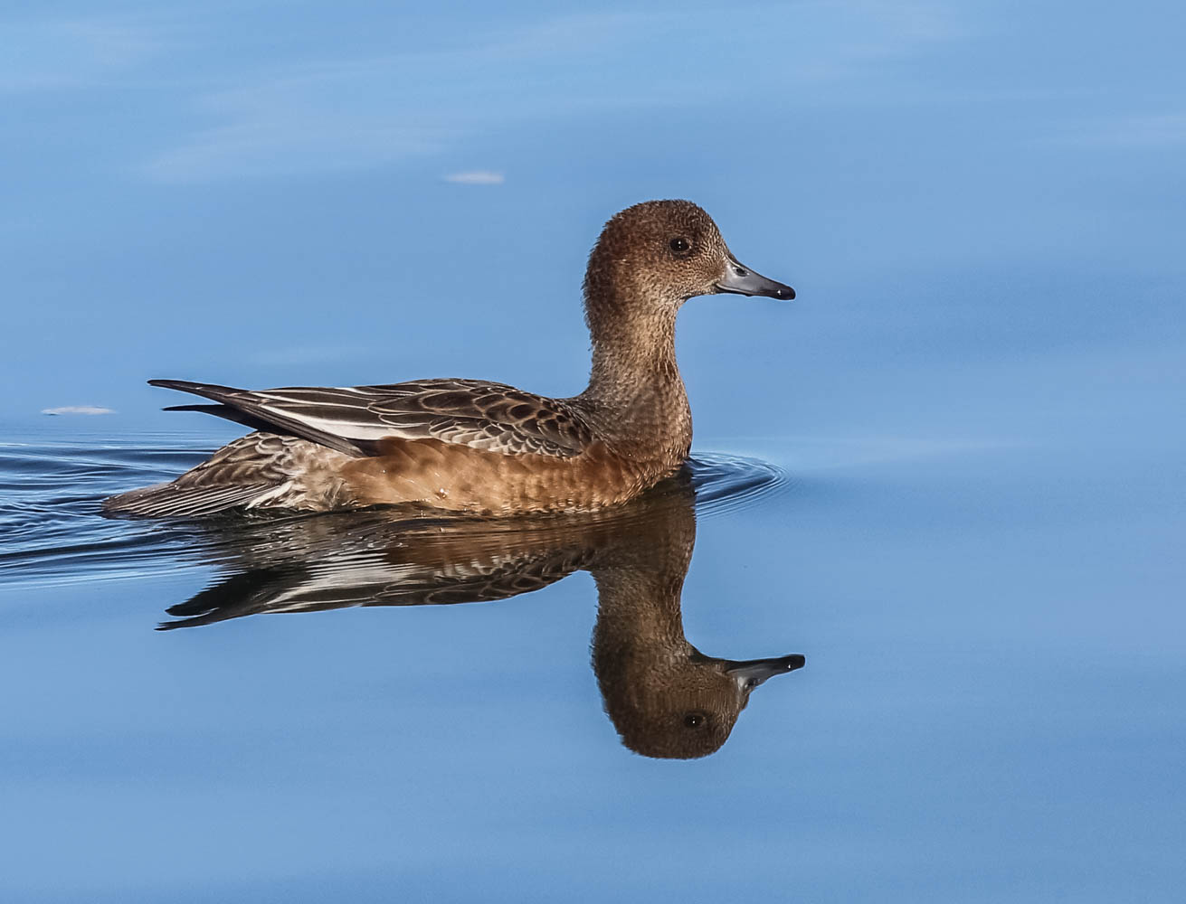 Valokuvaaja: Markku Salonen Valokuvaaja: Markku Salonen
