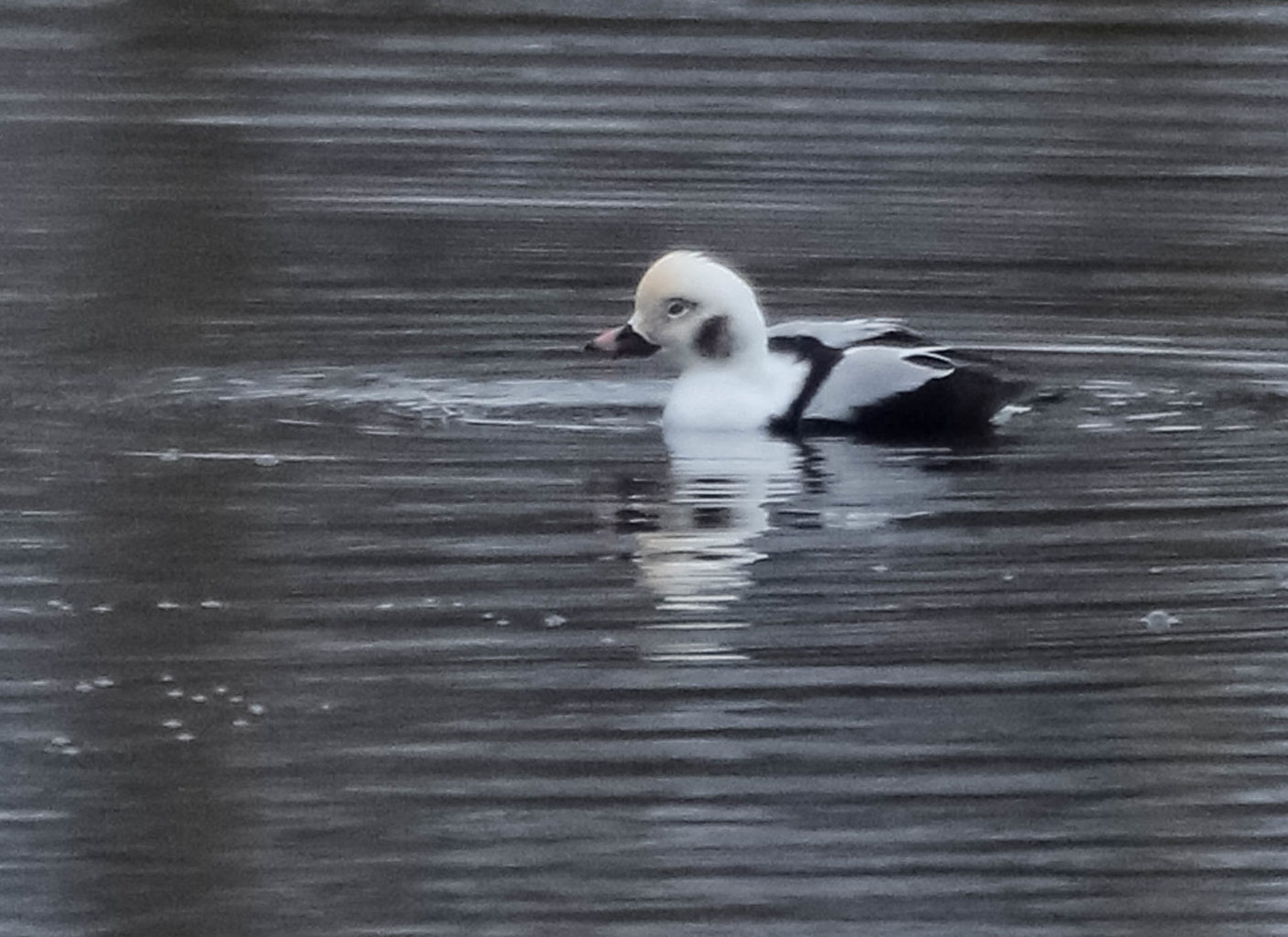 Valokuvaaja: Markku Salonen Valokuvaaja: Markku Salonen