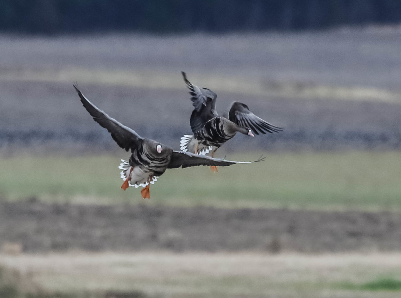 Valokuvaaja: Markku Salonen