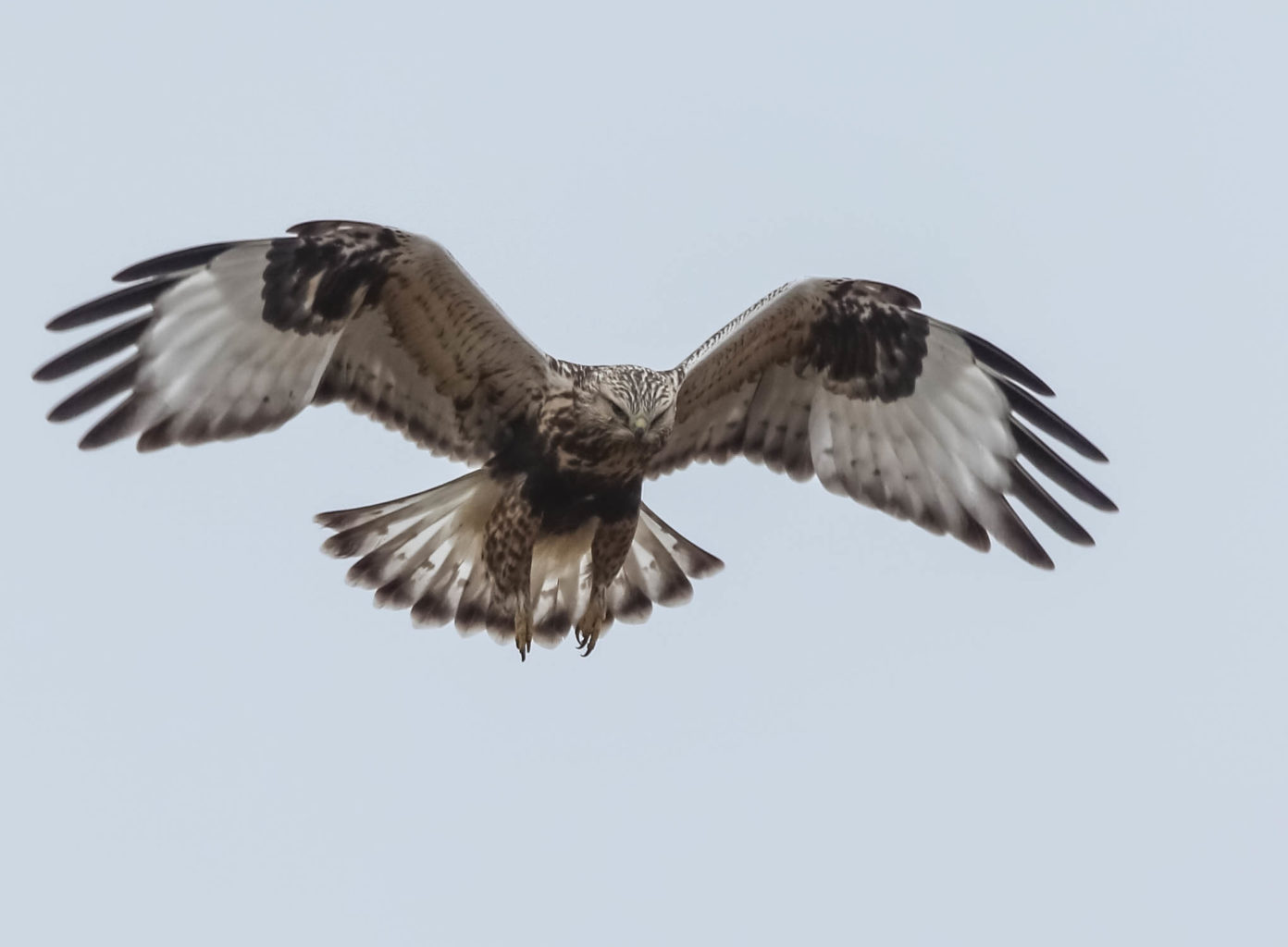 Valokuvaaja: Markku Salonen