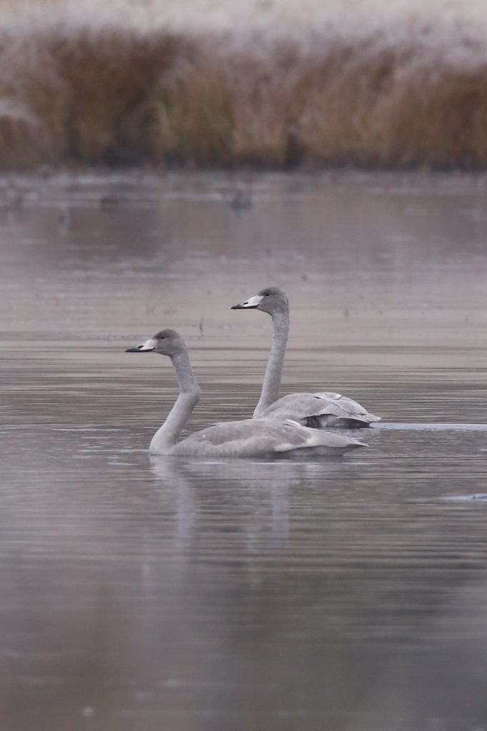 Valokuvaaja: Anne Moilanen