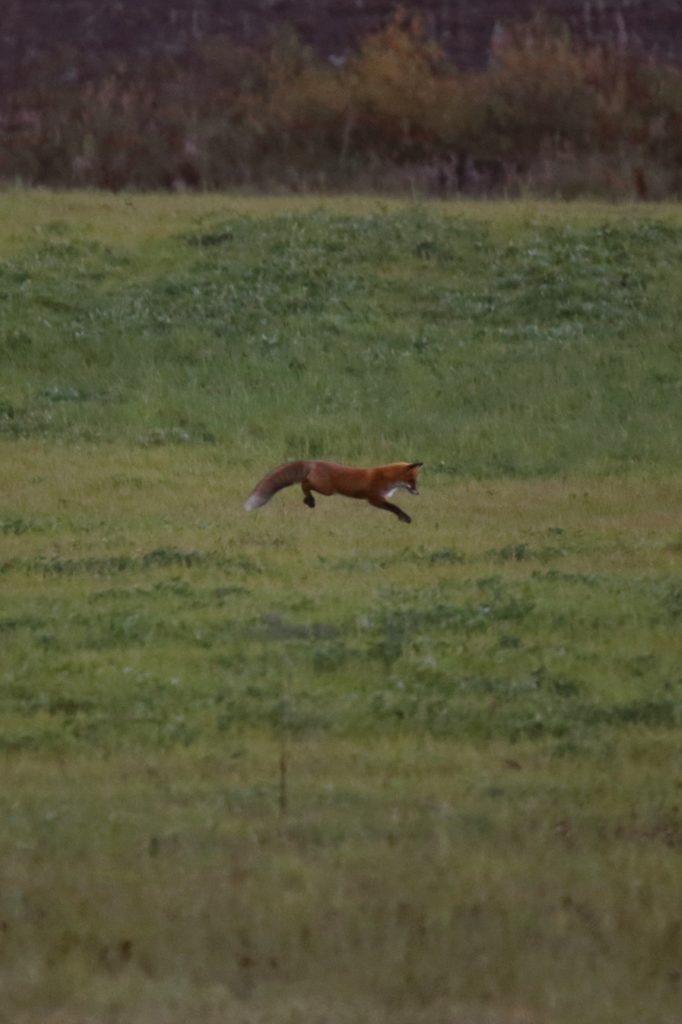 Valokuvaaja: Anne Moilanen