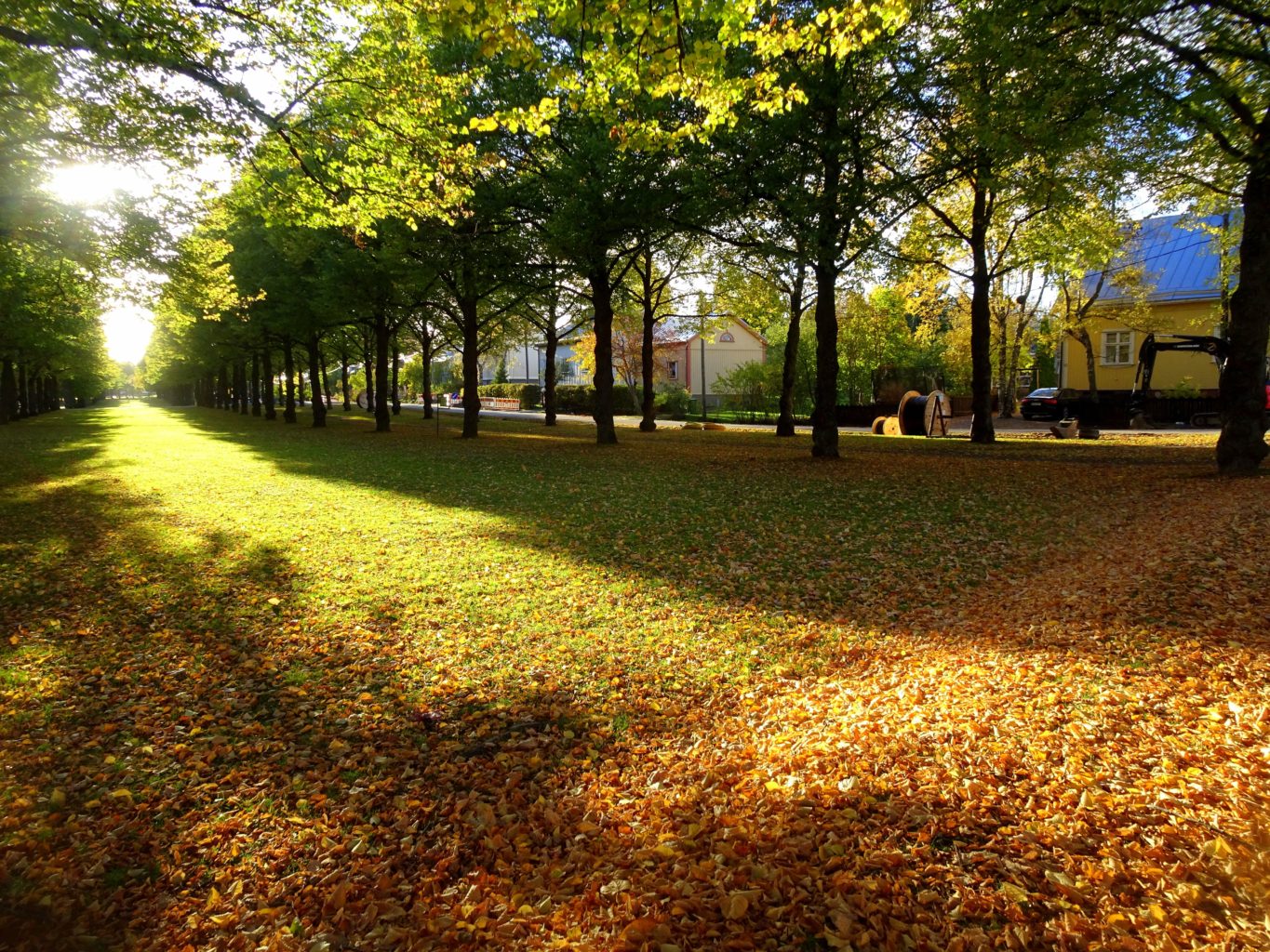 Valokuvaaja: Irja lehtinen