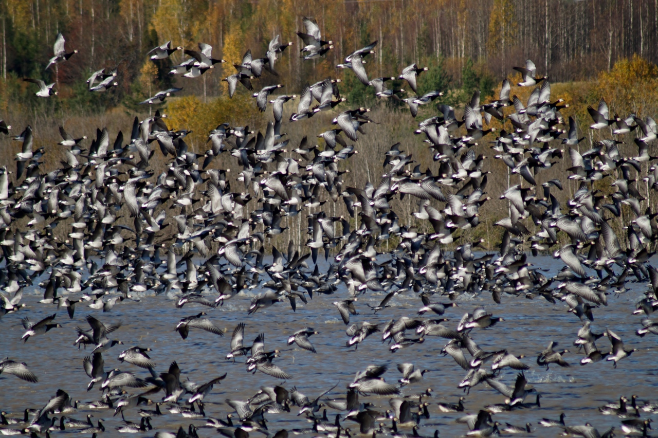 Valokuvaaja: Maarit Siitonen Valokuvaaja: Maarit Siitonen