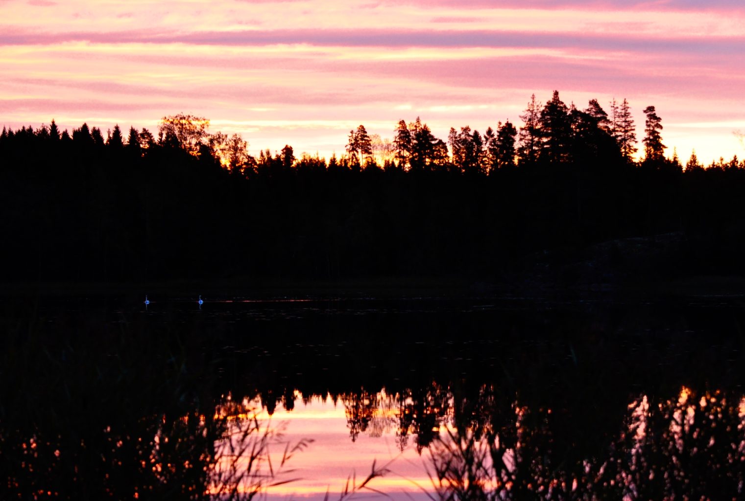 Valokuvaaja: jenni Merilä