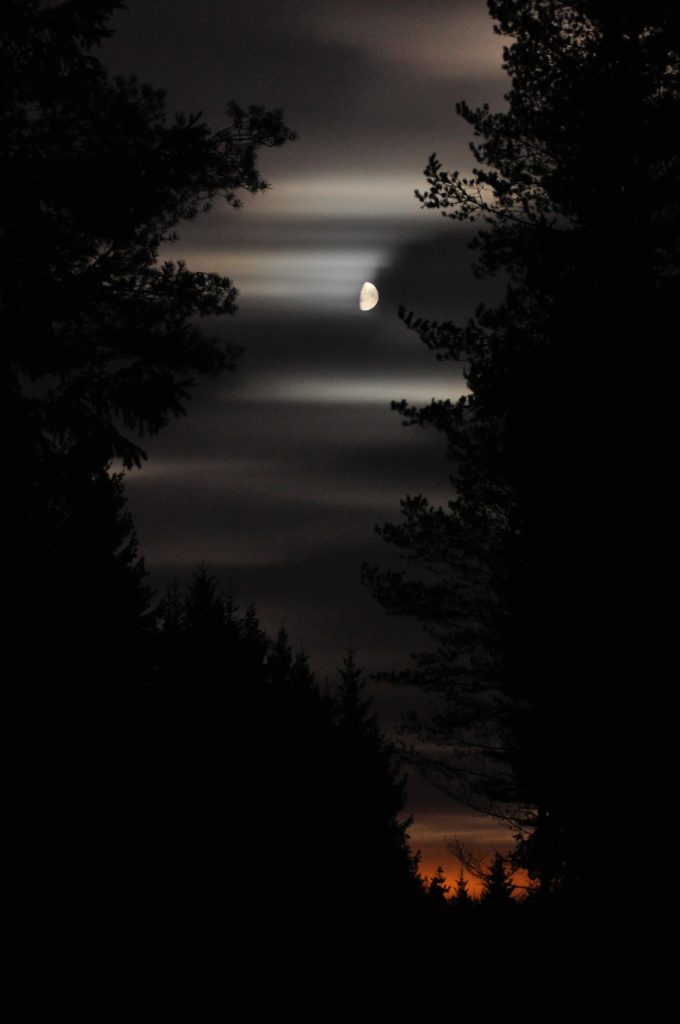 Valokuvaaja: jenni Merilä