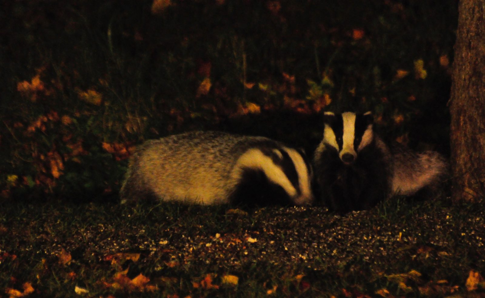 Valokuvaaja: Jenni Merilä