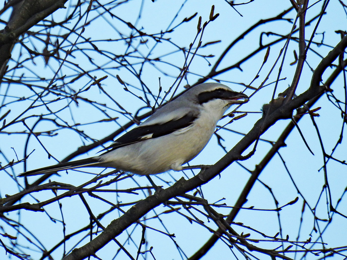 Valokuvaaja: Paavo Siukonen