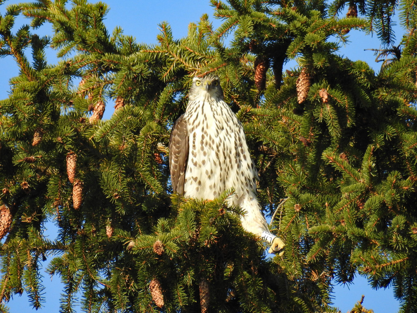 Valokuvaaja: Paavo Siukonen