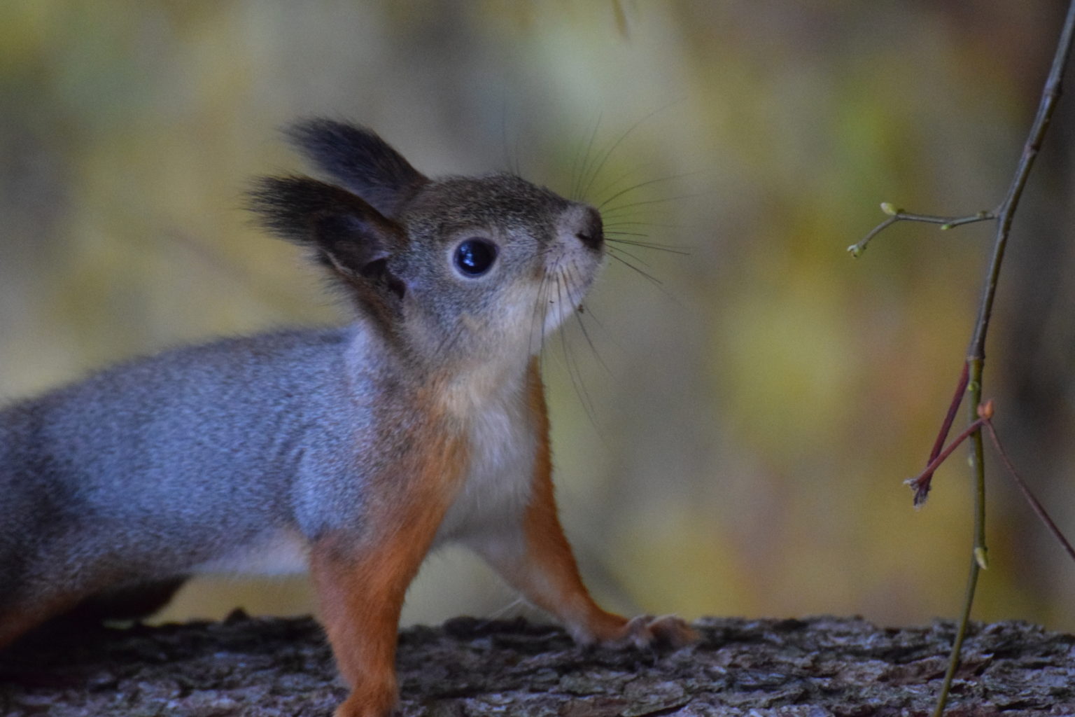 Valokuvaaja: Riitta Marjamäki