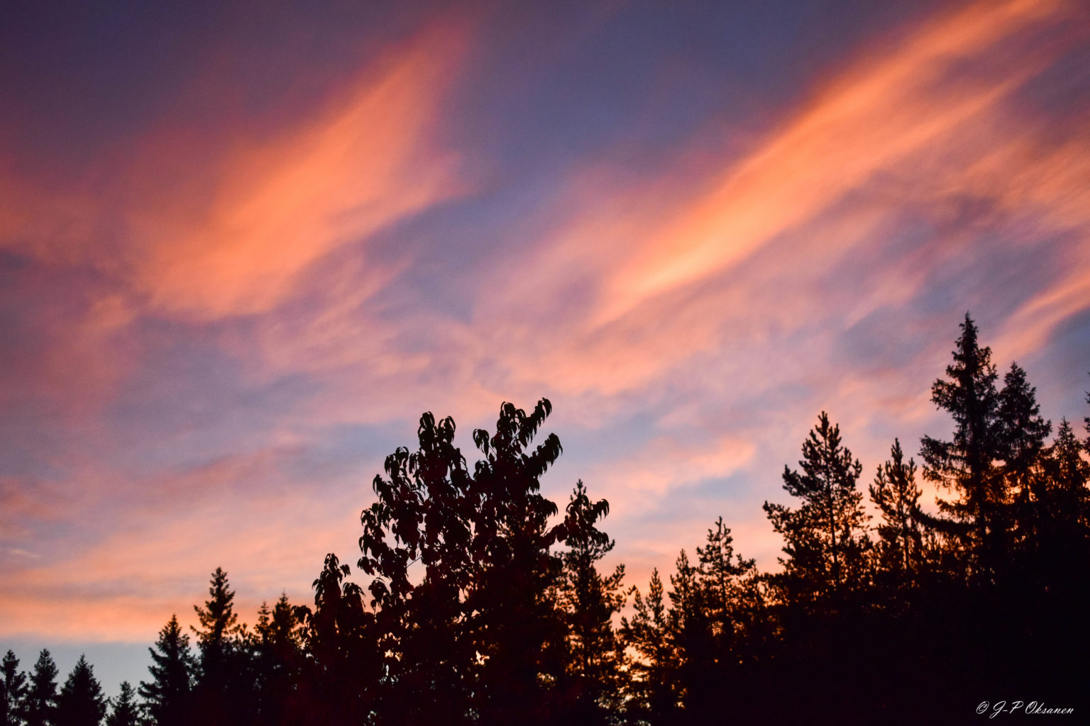 Valokuvaaja: Jyri Oksanen