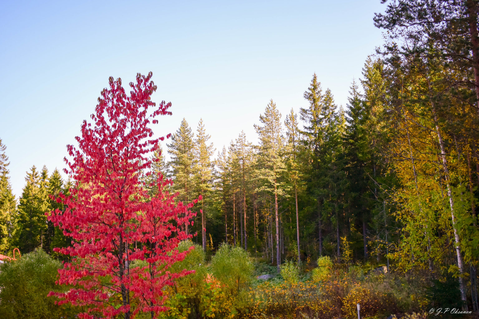 Valokuvaaja: Jyri Oksanen