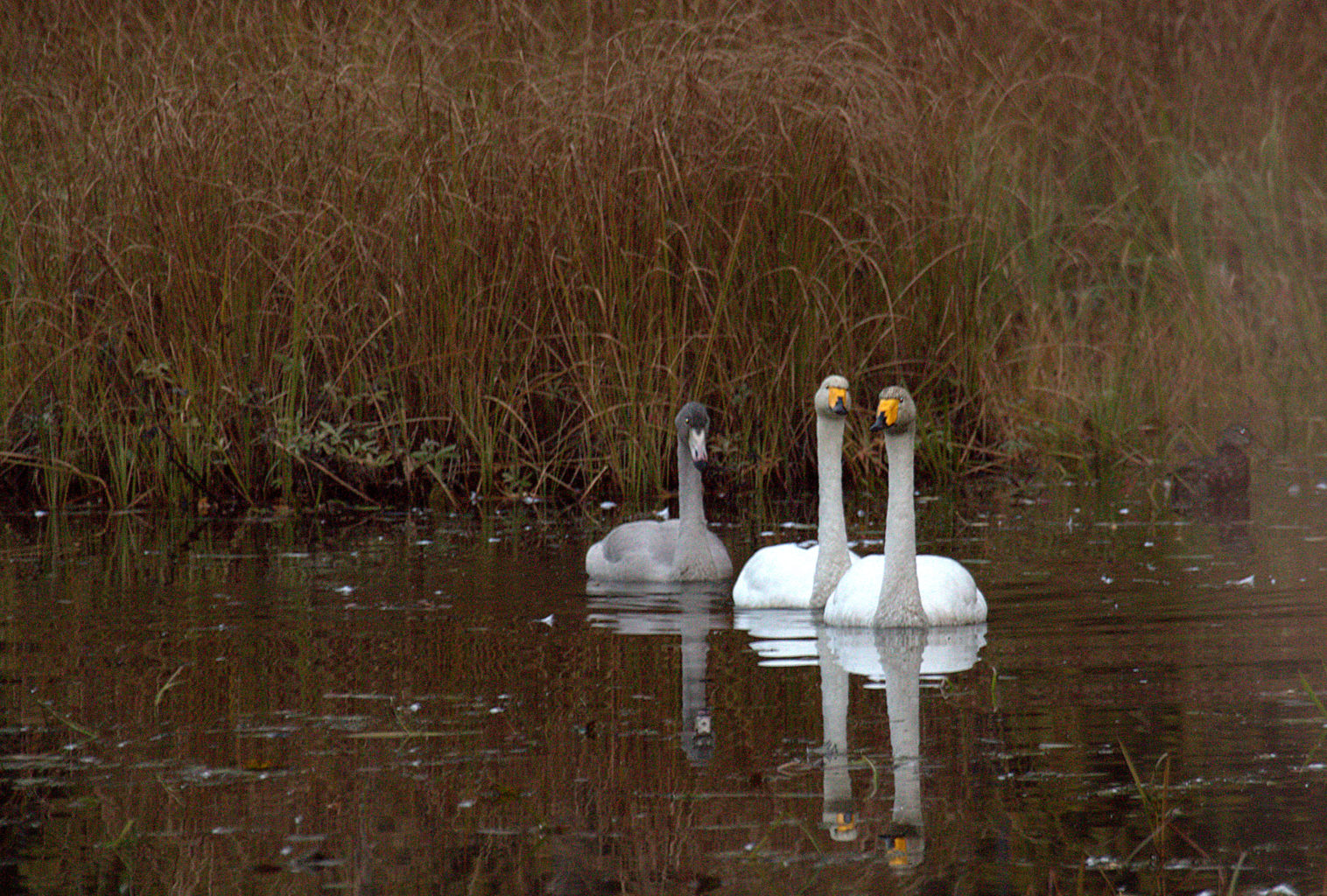 Valokuvaaja: Sirpa Jyske Valokuvaaja: Sirpa Jyske