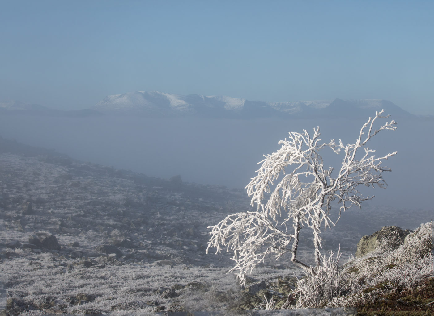 Valokuvaaja: Katri Niskanen
