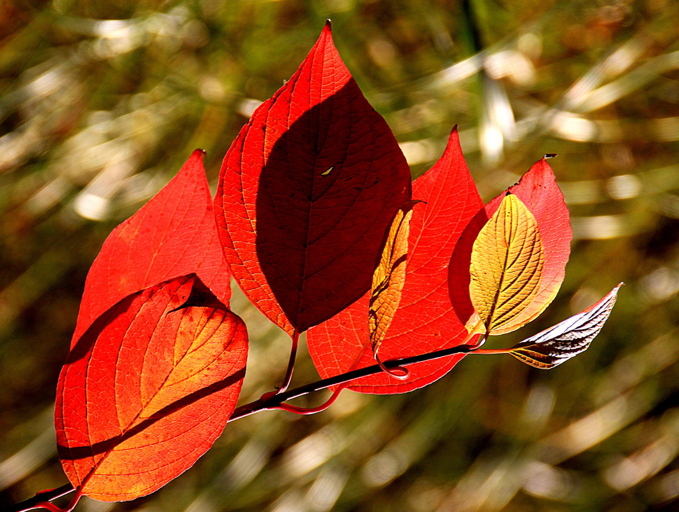 Valokuvaaja: Sirpa Jyske Valokuvaaja: Sirpa Jyske
