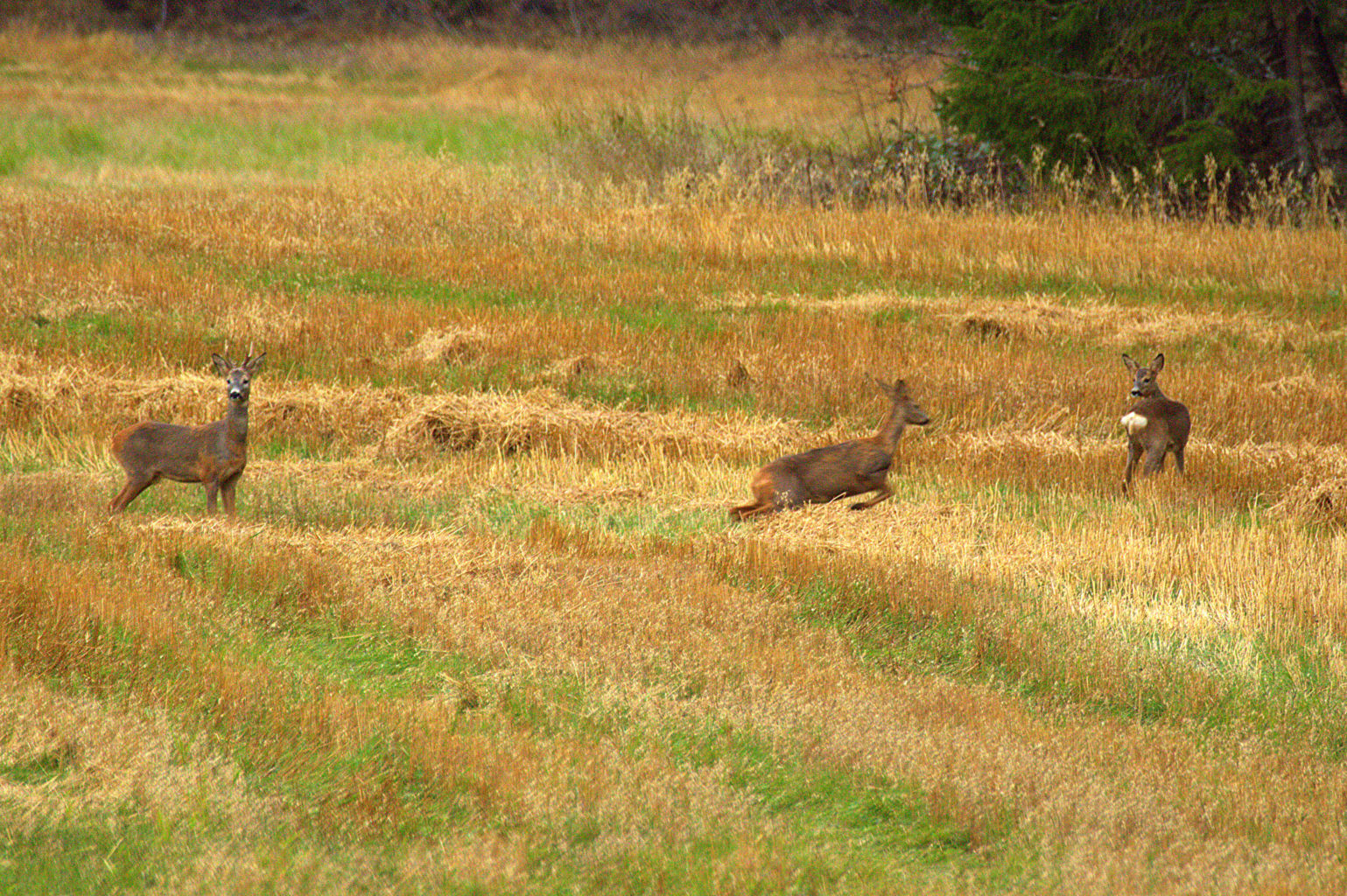 Valokuvaaja: Sirpa Jyske