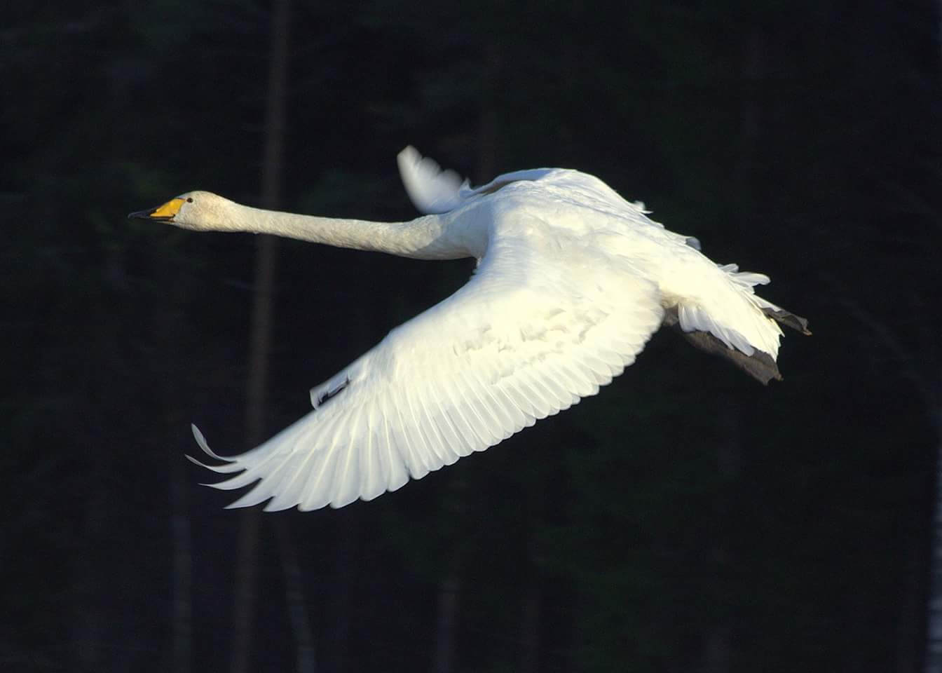 Valokuvaaja: Tapio Keinonen