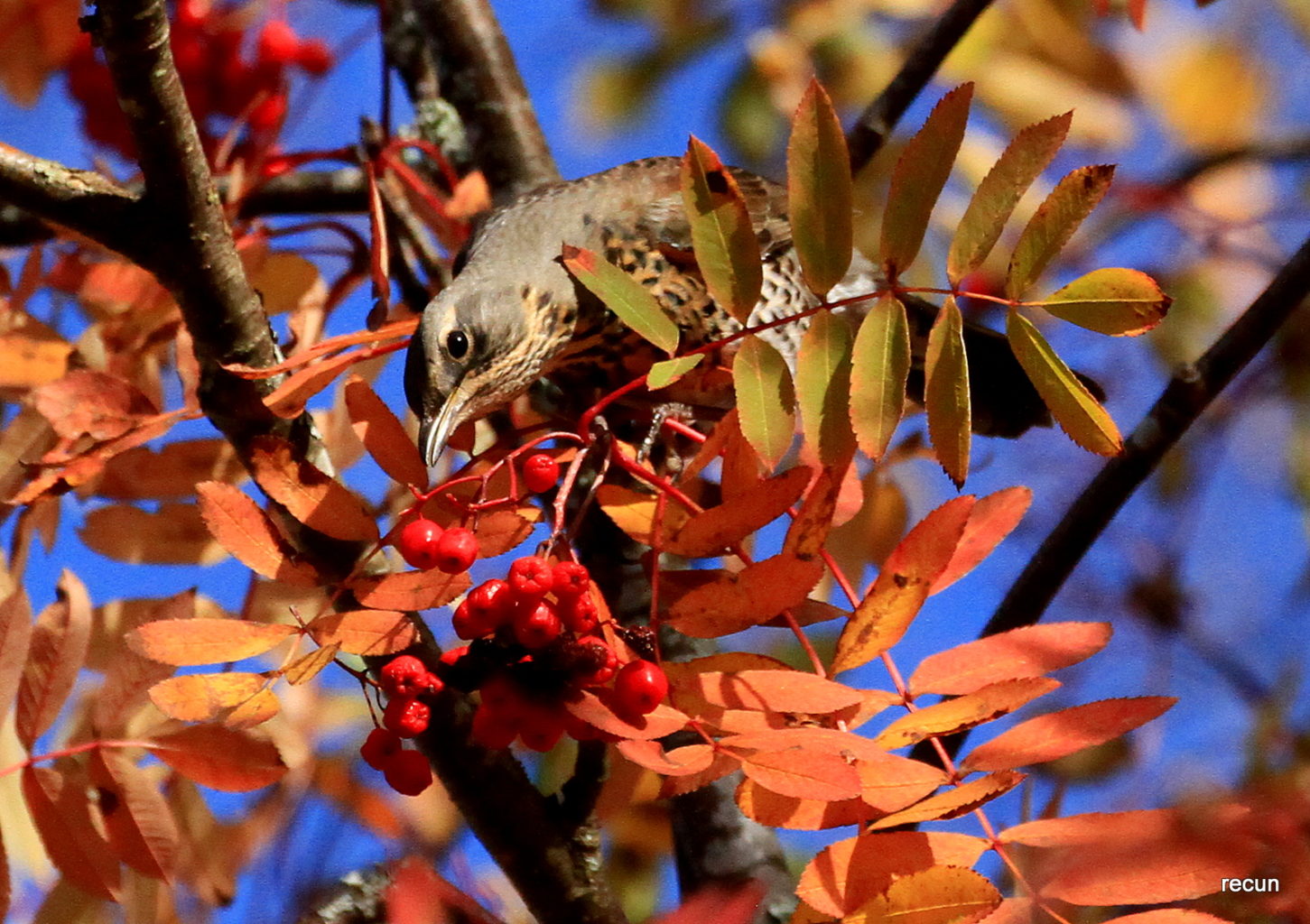 Valokuvaaja: reijo lehtonen
