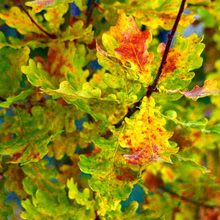 Valokuvaaja: Tapio Keinonen