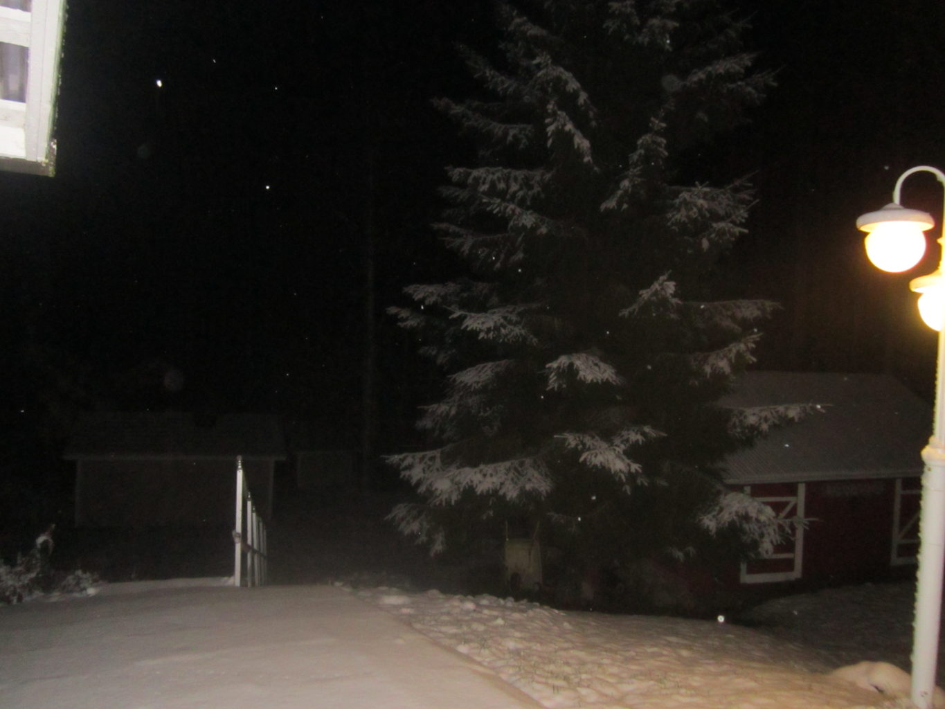 Valokuvaaja: Hannu Rissanen