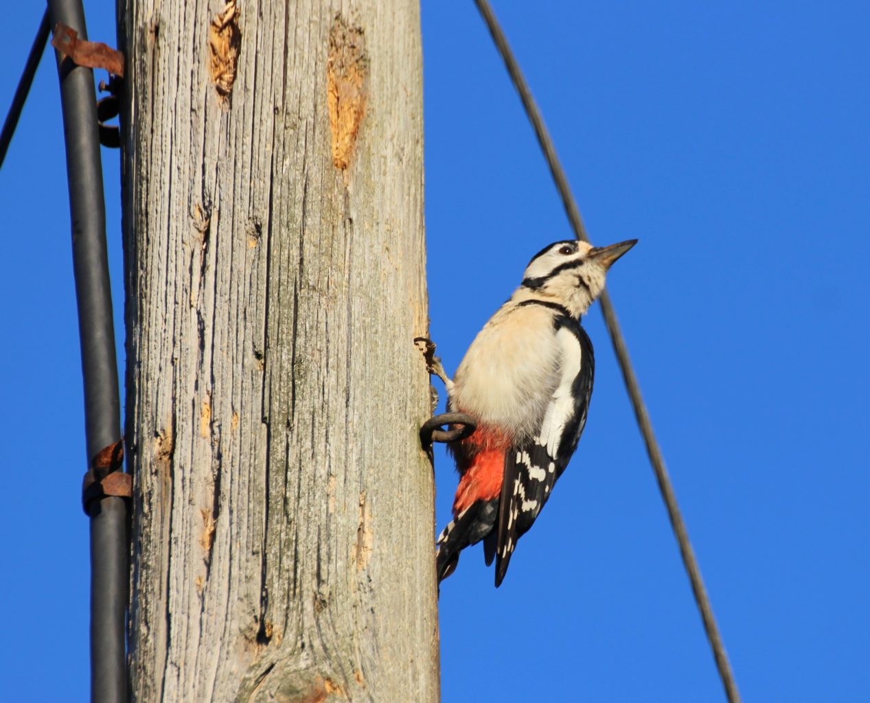 Valokuvaaja: Irja Lehtinen