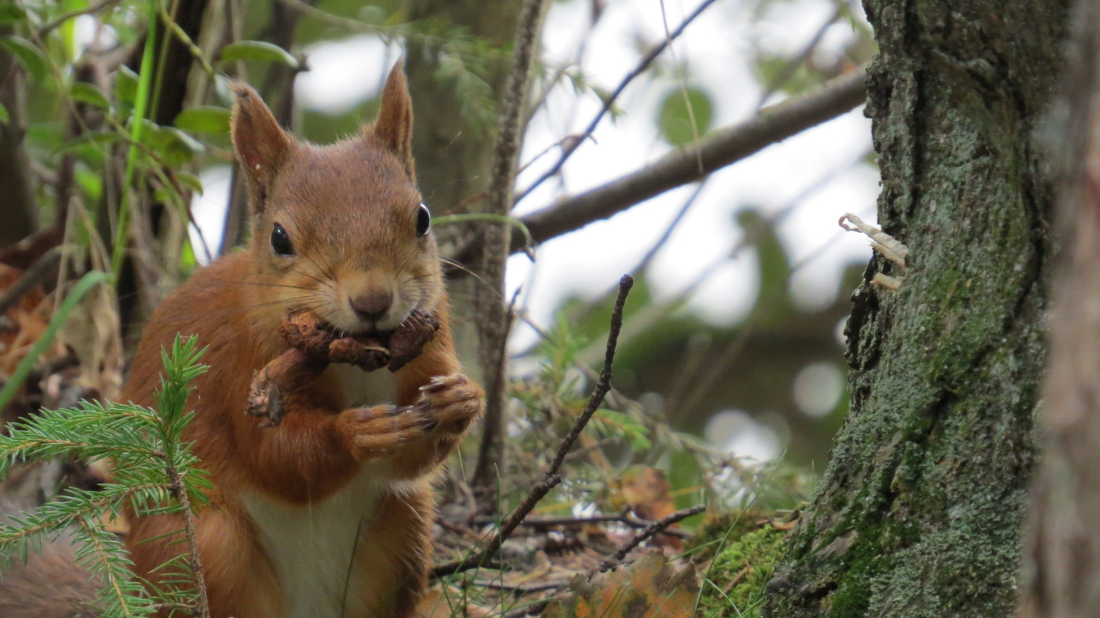 Valokuvaaja: Päivi Simonen