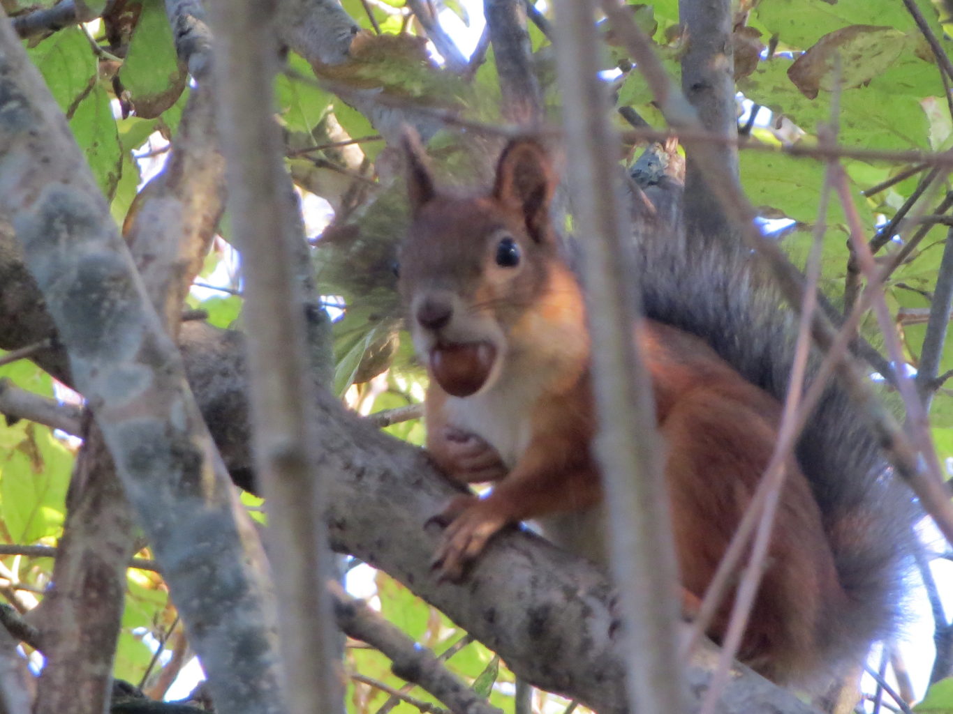 Valokuvaaja: Terttu Rantanen