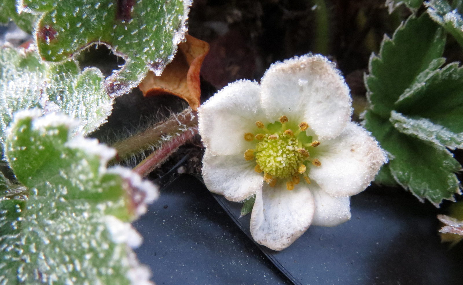 Valokuvaaja: Terttu Rantanen
