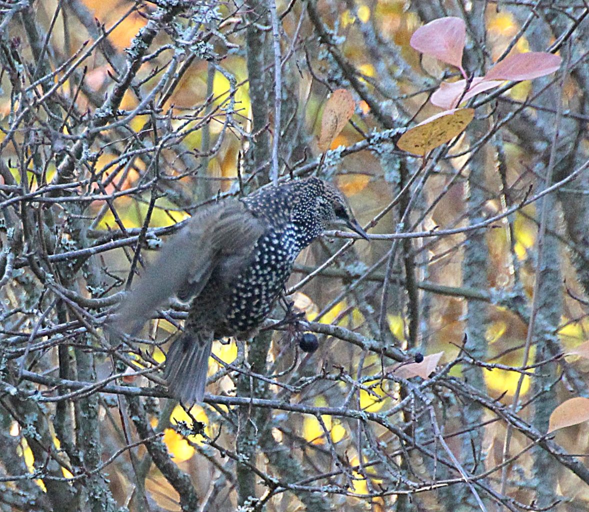 Valokuvaaja: Irja Lehtinen