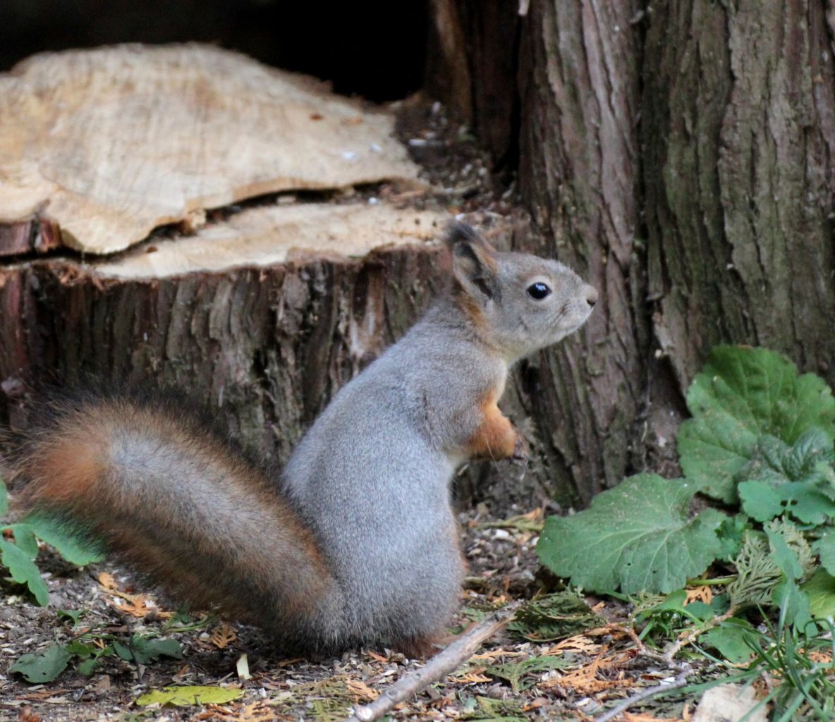 Valokuvaaja: Irja lehtinen