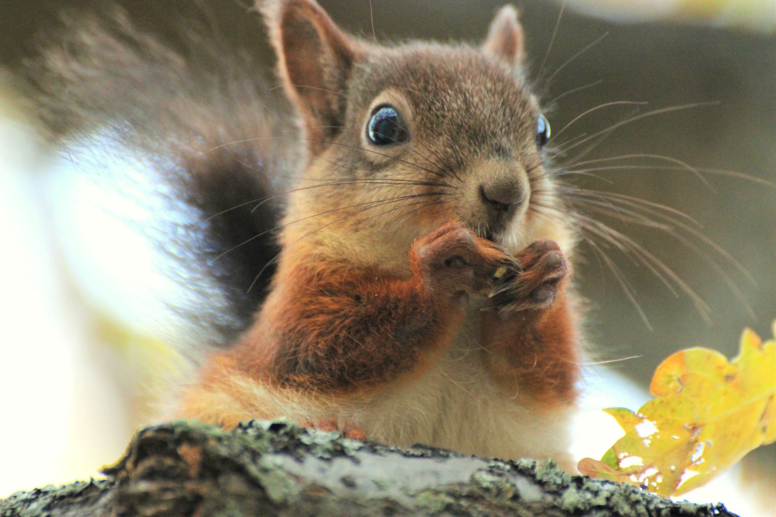 Valokuvaaja: Irja Lehtinen