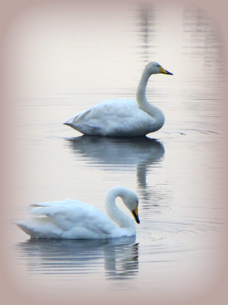 Valokuvaaja: Sirkka Ruotoistenmäki