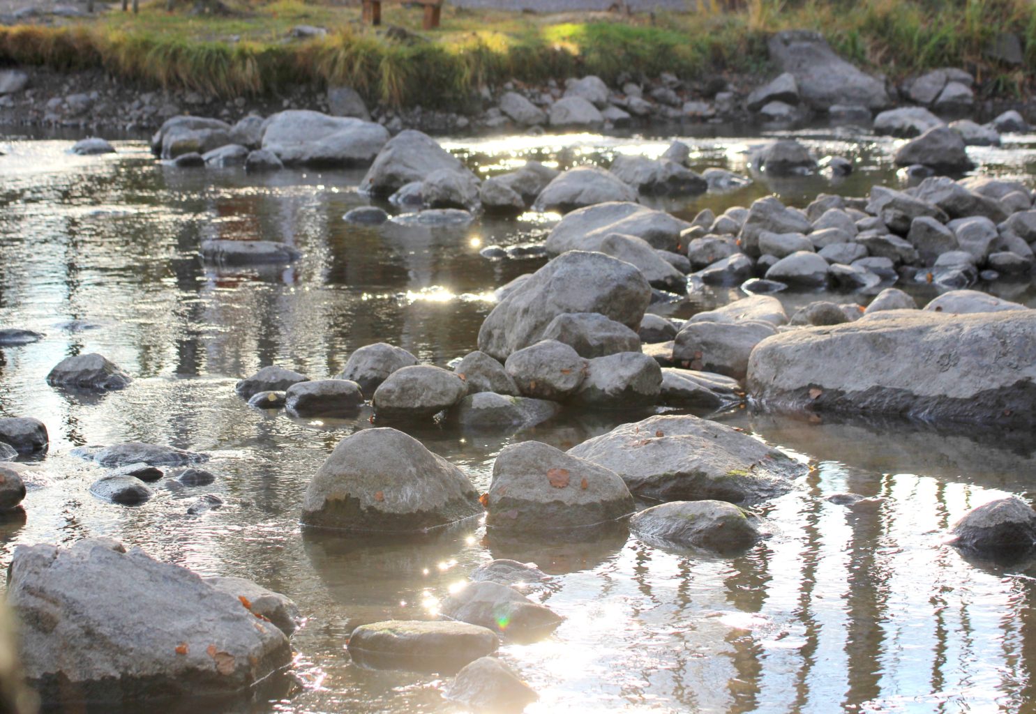 Valokuvaaja: Irja Lehtinen