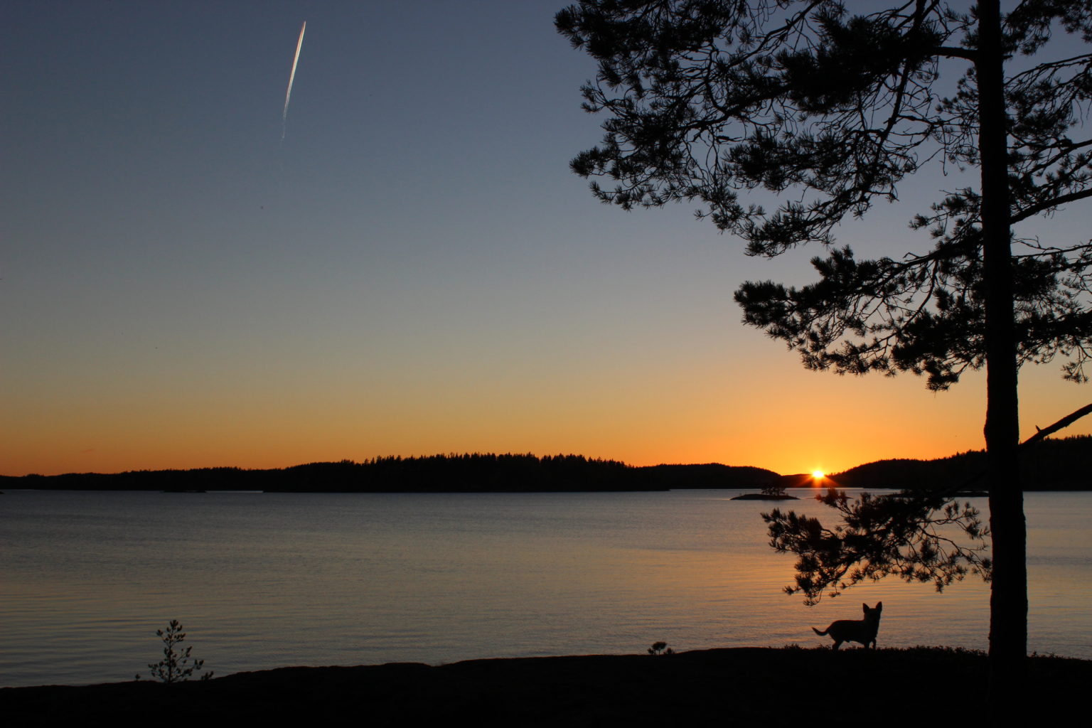 Valokuvaaja: Sirpa Riittinen