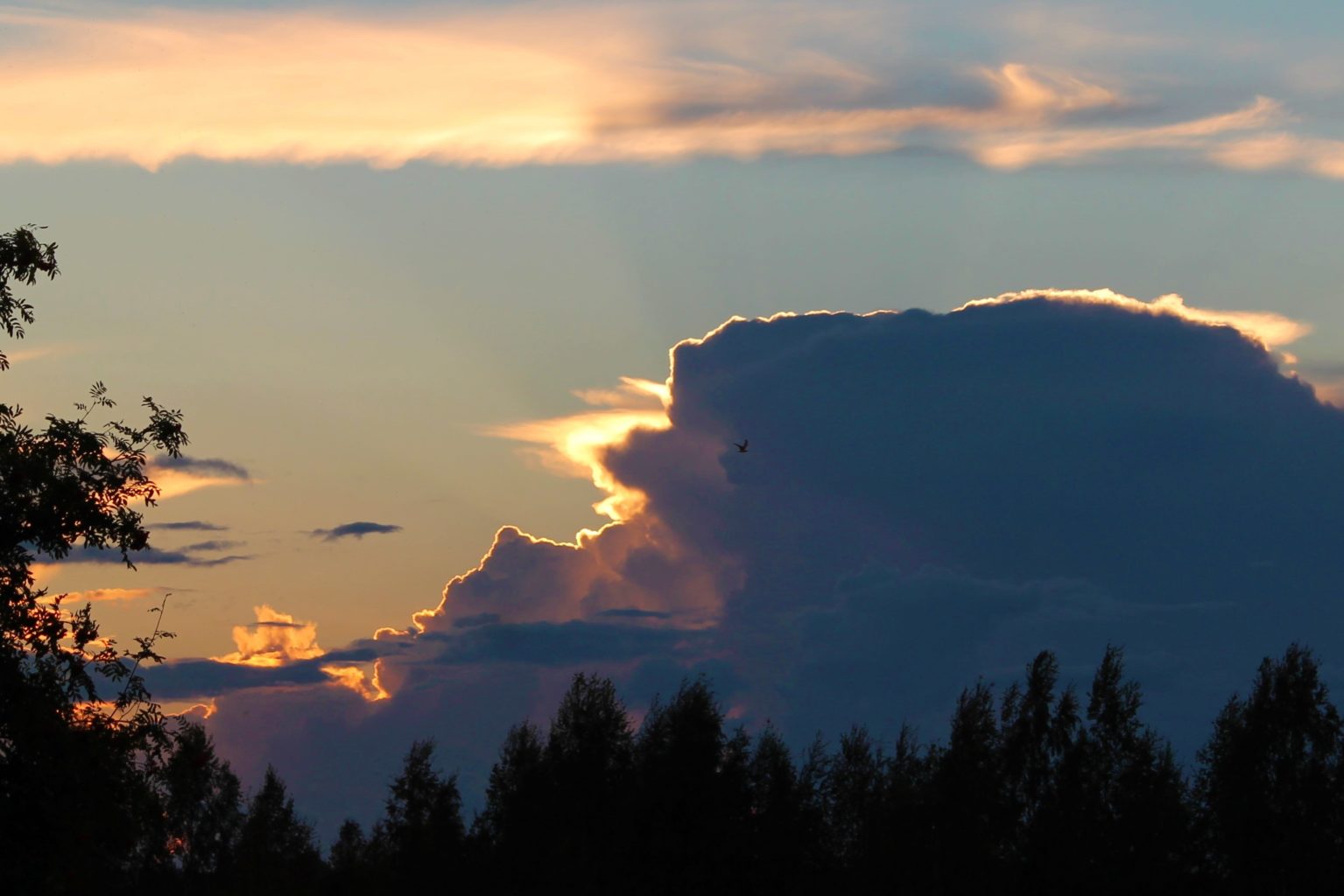 Valokuvaaja: Pirkko Hautamäki