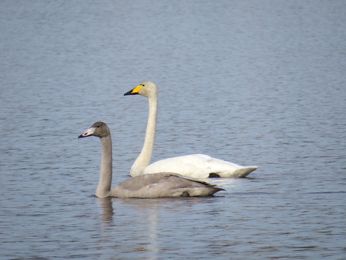 Valokuvaaja: Jaana Talvinen