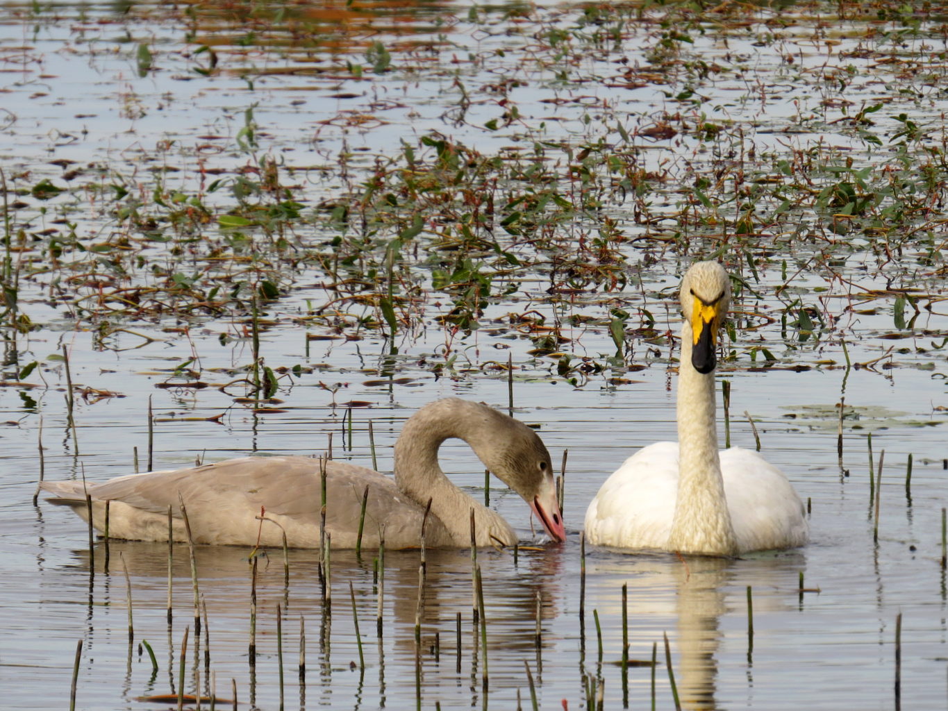 Valokuvaaja: Jaana Talvinen