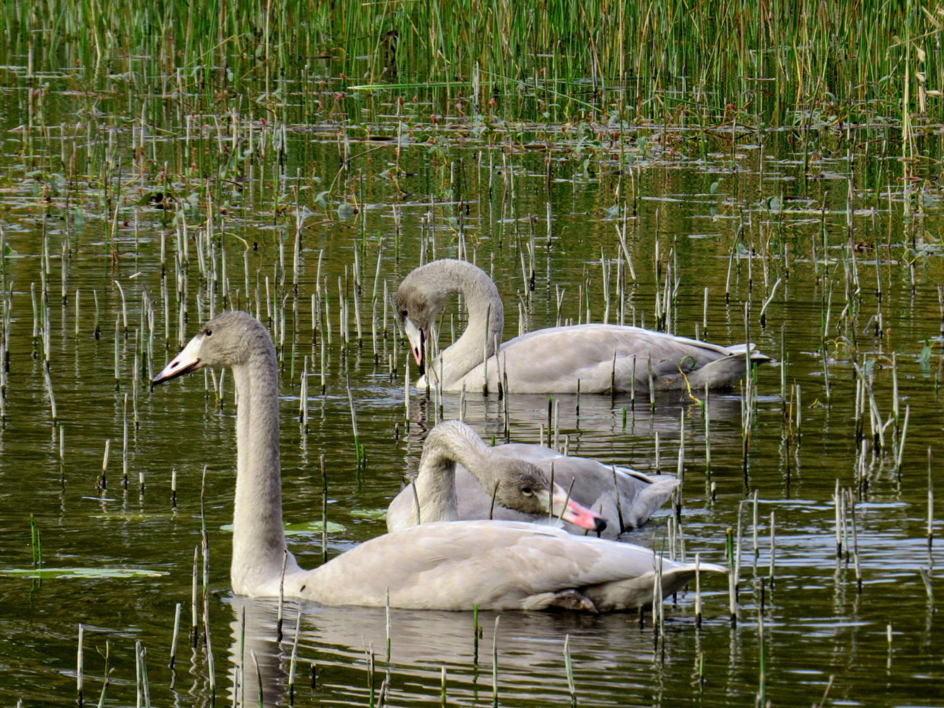 Valokuvaaja: Jaana Talvinen