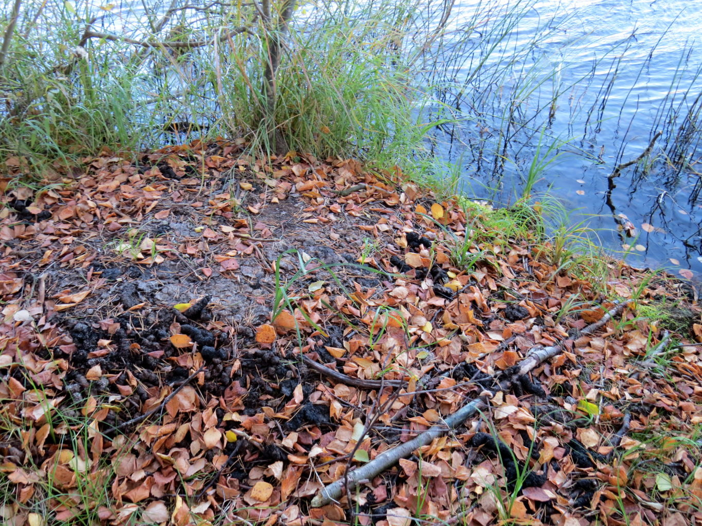 Valokuvaaja: Jaana Talvinen