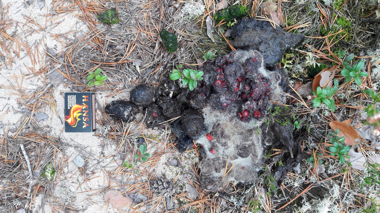 Valokuvaaja: Sinikka Kujala Valokuvaaja: Sinikka Kujala