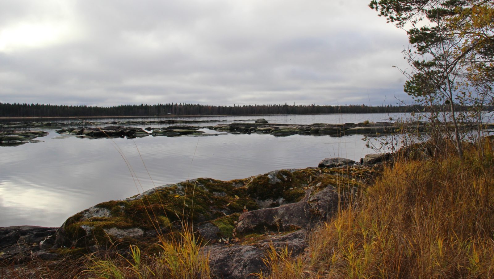 Valokuvaaja: Sinikka Kujala
